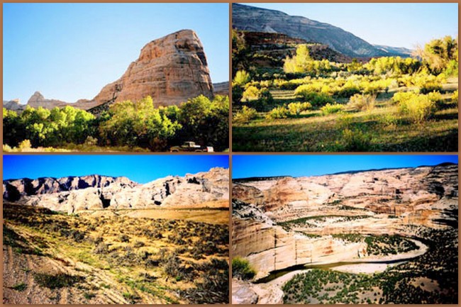Dinosaur National Monument