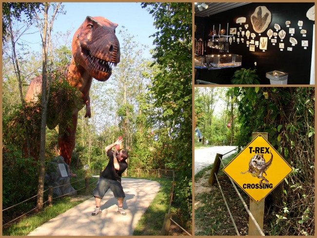 dinosaurs park t rex