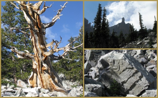 Great Basin National Park 4