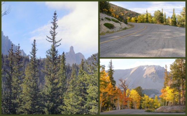 Great Basin National Park 6