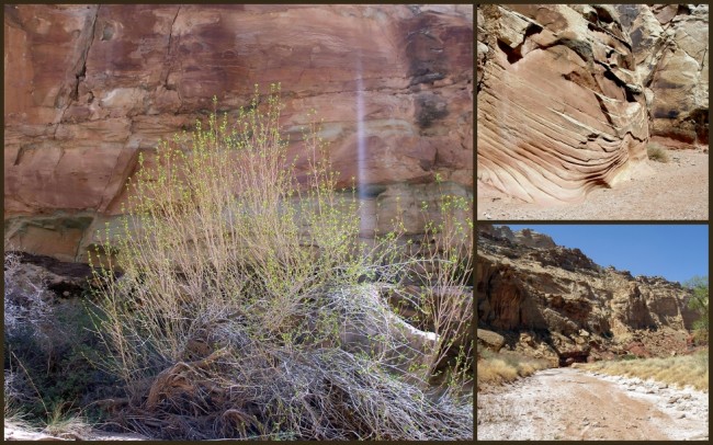 San Rafael Swell 6