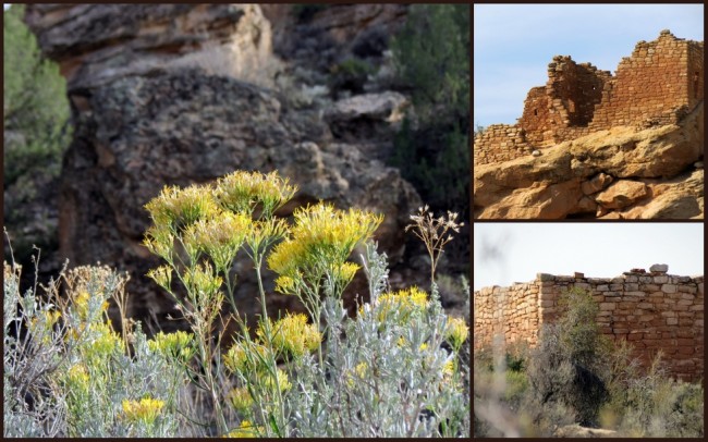 Hovenweep #2