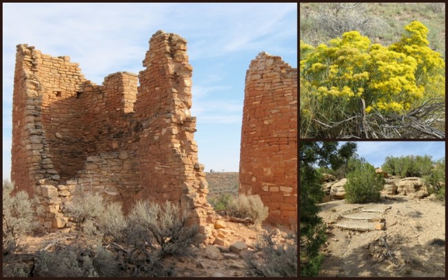 Hovenweep #6