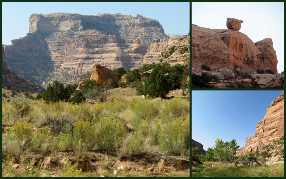 • Calf Canyon, Utah