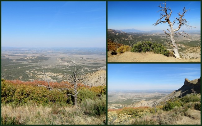 Mesa Verde #1