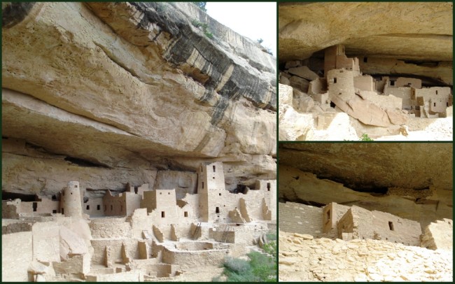 Mesa Verde #7