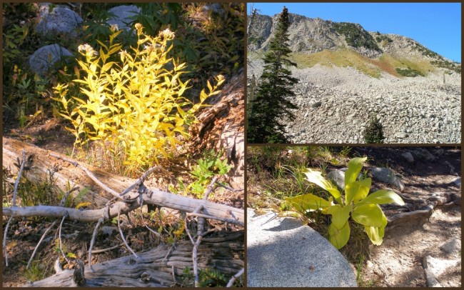 Maybird Gulch (5)