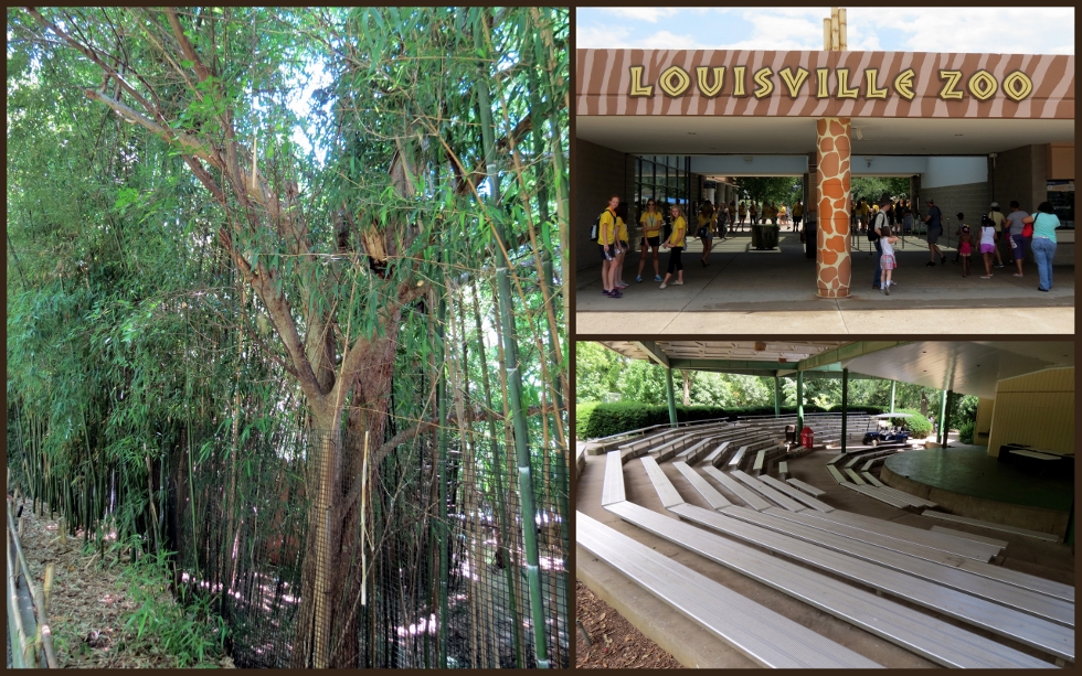 • The Louisville Zoo, Kentucky