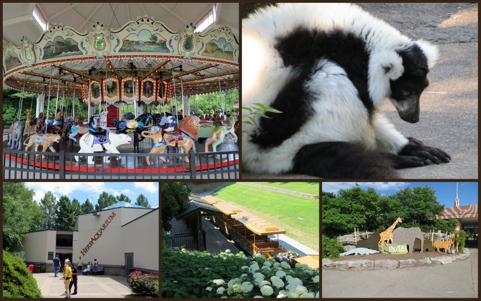 • The Louisville Zoo, Kentucky