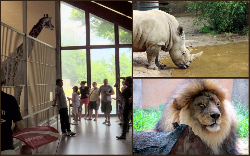 • The Louisville Zoo, Kentucky