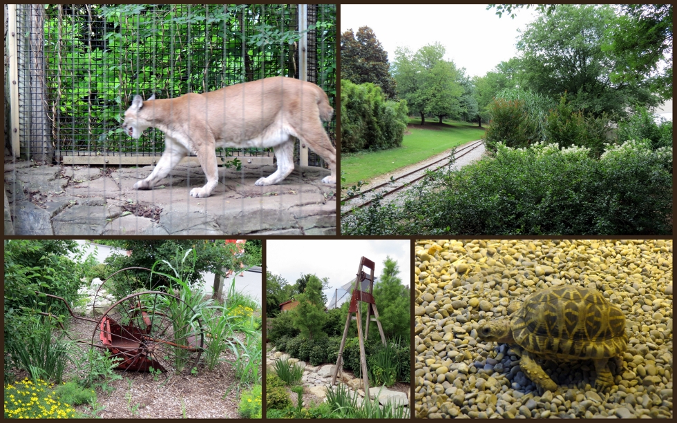• The Louisville Zoo, Kentucky