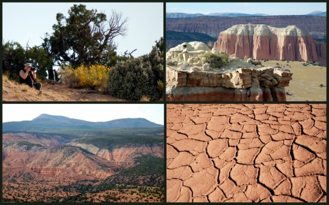 Capitol Reef #2