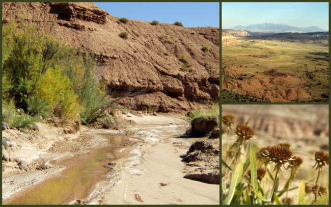 Capitol Reef #5