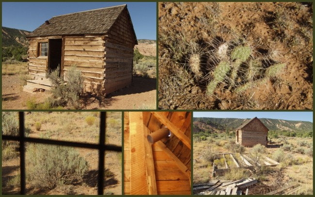 Capitol Reef #6