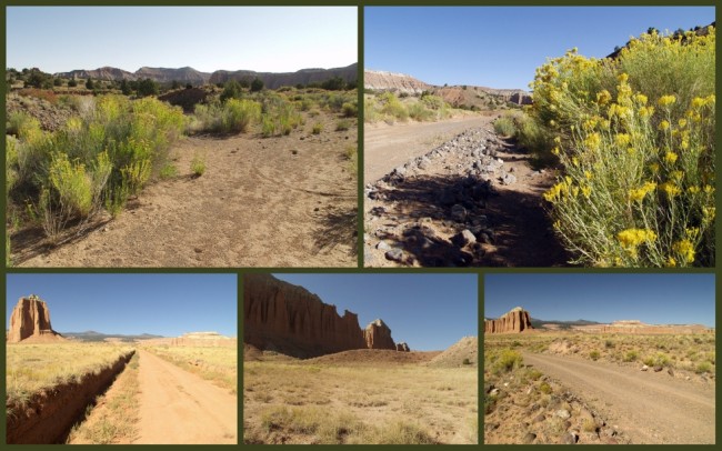 Capitol Reef #7