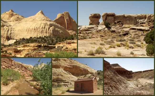 Capitol Reef #9