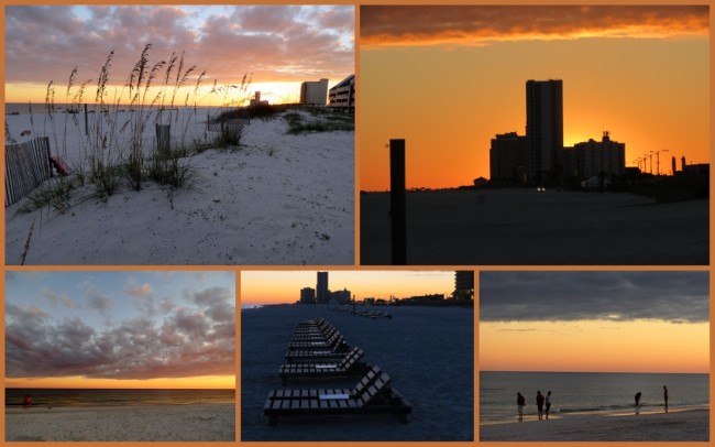 Gulf Shores #3