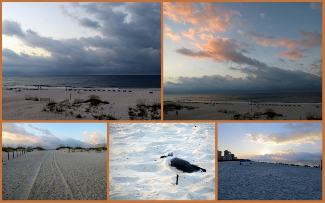 Gulf Shores #4