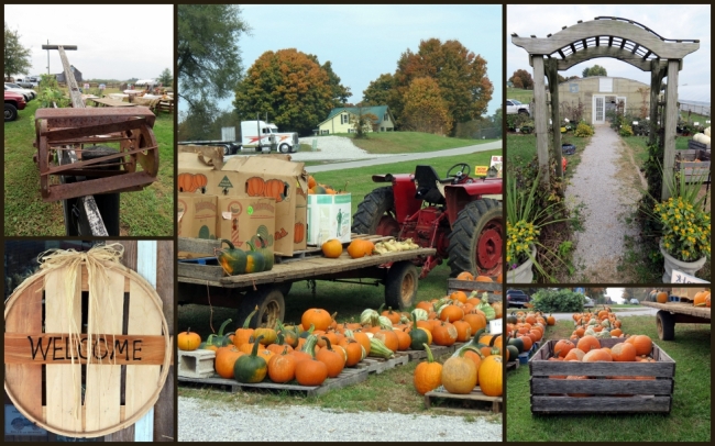 Dennisons Roadside Market (3)