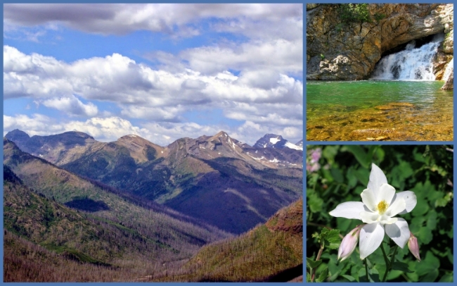 Glacier National Park #1