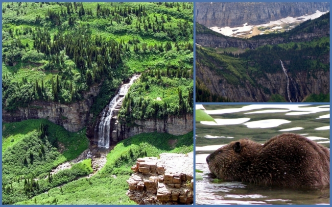 Glacier National Park #9