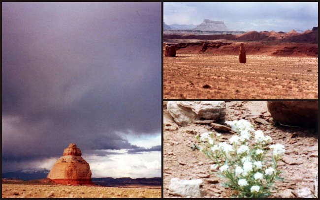 Canyonlands #2