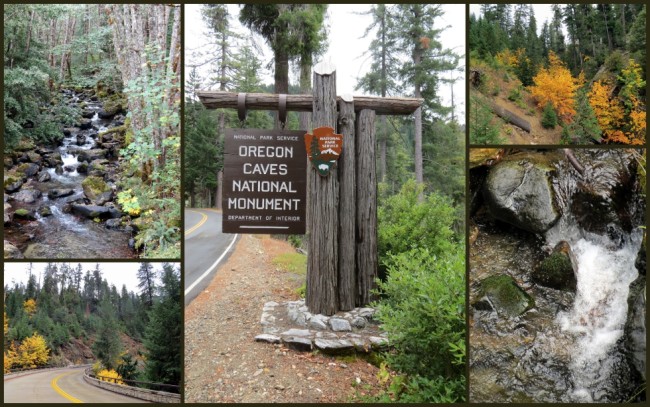 Oregon Caves #1