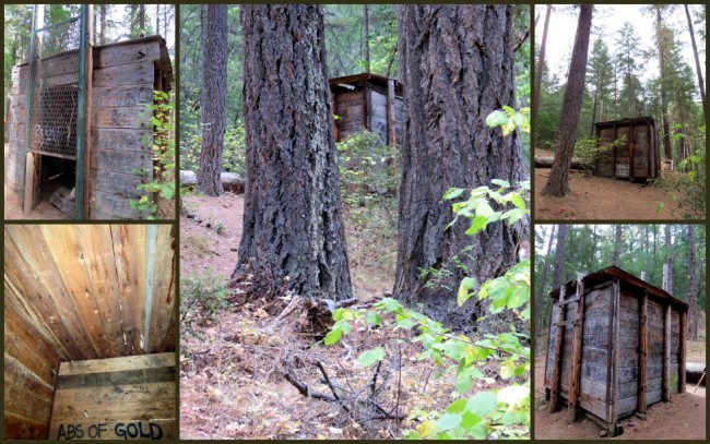 Bigfoot Trap #1